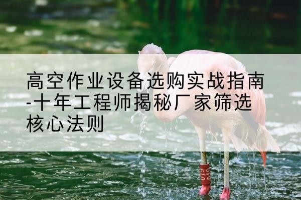 麻江剪叉式升降机厂家-高空作业设备选购实战指南-十年工程师揭秘厂家筛选核心法则