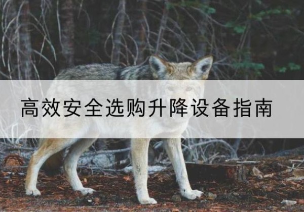 麻江升降货梯厂家推荐-*安全选购升降设备指南