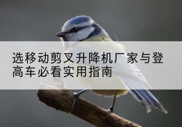 麻江电动升降机厂家-选移动剪叉升降机厂家与登高车必看实用指南