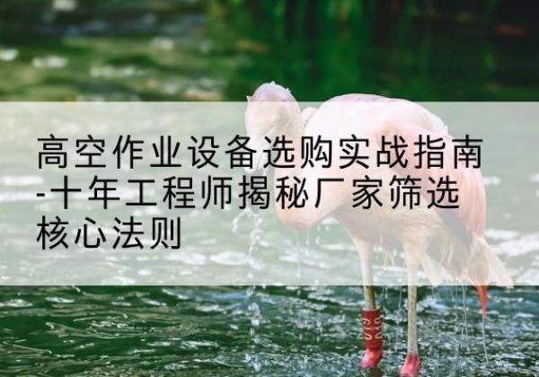 麻江剪叉式升降机厂家-高空作业设备选购实战指南-十年工程师揭秘厂家筛选核心法则